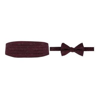 Trafalgar Store Mystere Metallic Star Light Cummerbund & Bow Tie Bundle in Merlot at Nordstrom