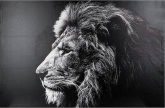 Atmosphera Atmosphera - Lona Estampada Le&oacute;n 78x118 - Negro & Blanco
