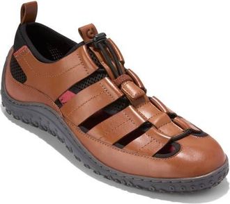 Cole Haan ZeroGrand TideTrek Fisherman Sandal in Golden Toffee/Nicotine at Nordstrom, Size 9.5