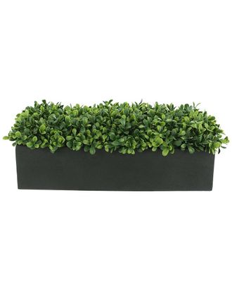 Creative Displays Inc. Boxwood Greenery Display