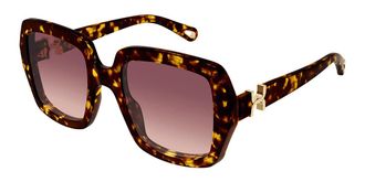 Chloé CH0301S 002 Womens Sunglasses Tortoiseshell Size 52