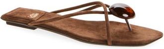 Jeffrey Campbell Cosmos Flip Flop in Brown Suede Combo at Nordstrom, Size 5.5