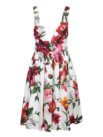 Dolce & Gabbana Dresses