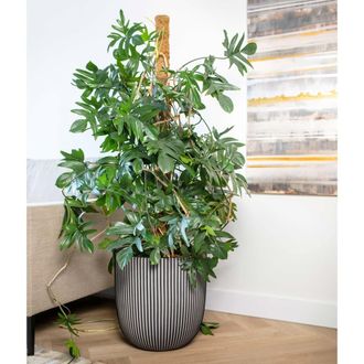 Capi Pot De Fleur Boule - Capi Europe - Groove Nl - 43 X 41 Cm - Anthracite