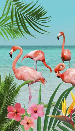 Good Morning Strandtuch »Flamingo« Mikrofaser, 100x180, Schnelltrocknend, Erwachsene, Tropen, Flamingo