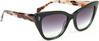 Ana Hickmann Sunglasses AH9437 E01 53
