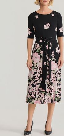 Kasper Floral Tie Belt A-Line Dress in Black/Tutu Multi at Nordstrom, Size 14