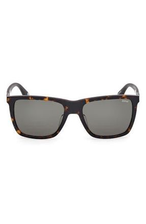 BMW 56mm Sunglasses in Dark Havana /Green at Nordstrom Rack