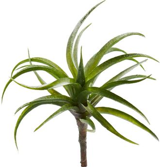 Nearly Natural 8-in Air Plant Artificial Succulent in Green at Nordstrom