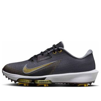 Nike Air Zoom Infinify Tour 2 Cool Grey Infinite Gold FD0218-003