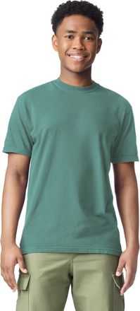 Comfort Colors Mens Heavyweight Short Sleeve Tee, Style G1717/G1745 T-Shirt, Light Green, Medium