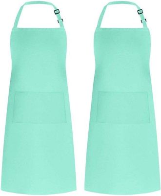 OEM Delantal Unisex, Impermeable, Apto Para Barbacoas, Restaurantes, Cafeter&iacute;as, Etc., Color Verde, 2 Unidades