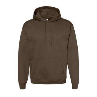 Hanes Ecosmart Hooded Sweatshirt