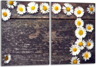 OEM Placa Protectora De Vidrio Para Estufa 2x40x52 Le&ntilde;a