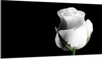 OEM Placa Protectora De Vidrio Para Estufa 90x52 Rosa