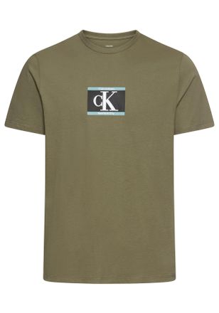 Calvin Klein T-Shirt CALVIN KLEIN SS 30s E SPRTSWR 3 G, Herren, Gr. XXL, gr&uuml;n (dusty olive), Single Jersey, Obermaterial: 100% Baumwolle, unifarben, regular fit h&uuml;
