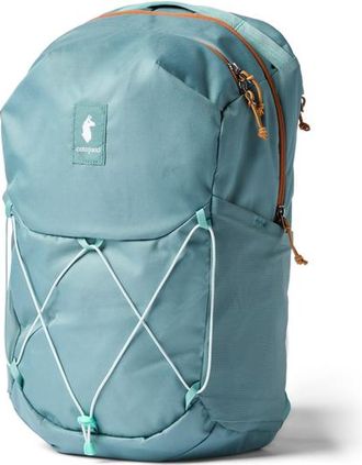 Cotopaxi Abierto 26L Daypack in Everglade at Nordstrom