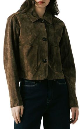 Blank NYC Suede Crop Jacket in Black Coffee at Nordstrom, Size X-Small