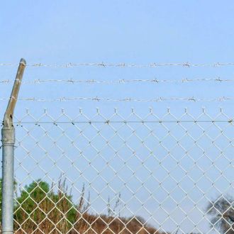 vidaXL Alabre De Espino, 500 Metros, Color Gris Vidaxl