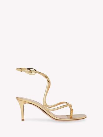 Gianvito Rossi Jungle Mamba 70 Thong in Gold 95%nappa+5%tpu at Nordstrom, Size 35.5