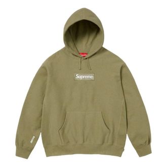 SUPREME FW25 Box Logo Hoodie Green SUP-FW25-094-GRN
