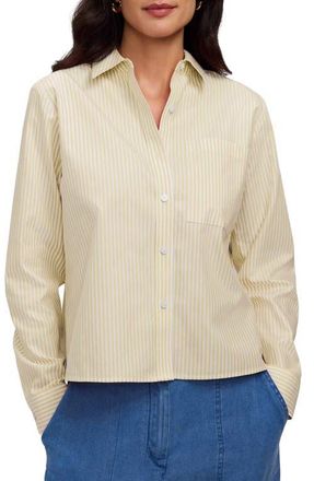 Foxcroft Jodie Stripe Cotton Button-Up Shirt in Lemon Yellow at Nordstrom, Size X-Large