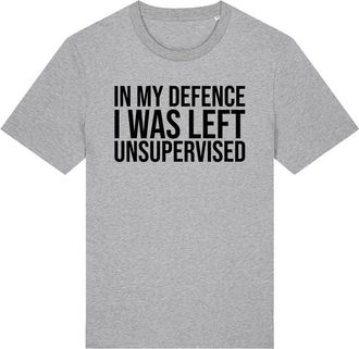 Generic Unisex in My Defence I was Left Unsupervised Slogan T-Shirt, Multiple Colours, S-XXL (UK, Alpha, XL, Regular, Regular, Grey)