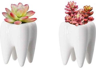 OEM Juego De 2 Macetas De Cer&aacute;mica Blanca Para Suculentas Y Cactus
