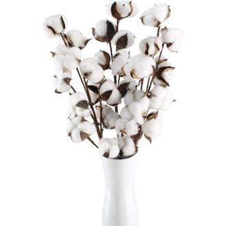 OEM Ramas De Flores De Algod&oacute;n Natural, 10 Cabezas Con Tallos Artificiales, Flores De Algod&oacute;n Secas, Planta Artificial Natural, Decoraci&oacute;n De Interiores
