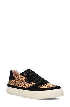 Taos Pop Soul Sneaker in Cheetah/Black at Nordstrom, Size 9.5
