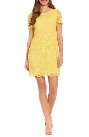 London Times Scalloped Lace Shift Dress in Sunshine at Nordstrom Rack, Size 4