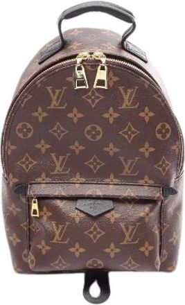 Louis Vuitton Pre-owned Palm Springs Backpack PM Monogram Backpack - Dames - Vintage Rugzakken - Bruin - ONE Size - Leer - Vintage