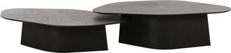 TOV Furniture Roche Nesting Coffee Table Set