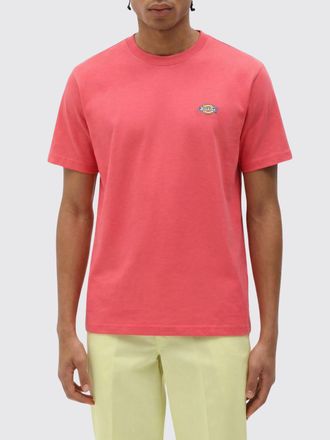Dickies T-shirt Malpleton con logo