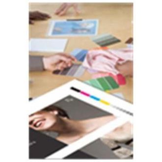 Epson Proofing Paper, 13 X 30.5 M, 250g/m&sup2; Formato Grande Semi-mate