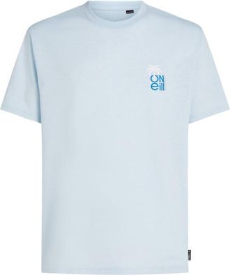 O'Neill Hybrid Polygiene Graphic T-Shirt T-Shirt f&uuml;r Herren | grau