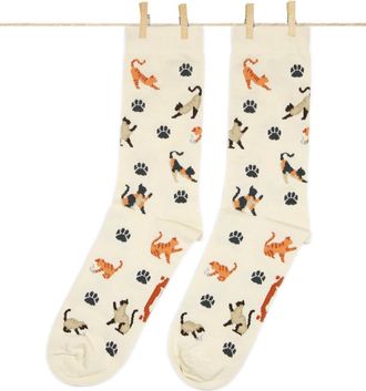 Roits Cats Socks Cream for Women and Men - Cute Colourful Animal Kittens Print Happy Odd Cool Quality Socks Accessories (7-11)
