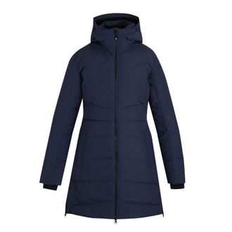 Dare 2B Dare 2B Dames/Dames Ski jas (Peacoat)
