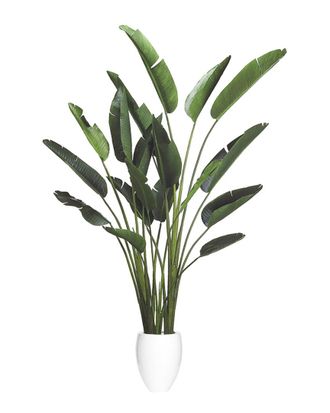 Creative Displays Inc. 8Ft Bird Of Paradise Tree With Fiberstone Planter