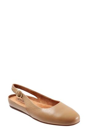 Softwalk Sandy Slingback Flat Sandal in Beige Nappa Leather at Nordstrom, Size 10.5