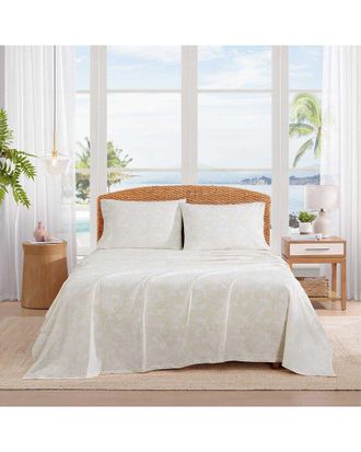 Tommy Bahama Legacy Fronds Cotton Percale Sheet Set