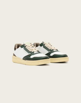 AllSaints Regan - Sneakers basse bianche e verdi in pelle-Bianco
