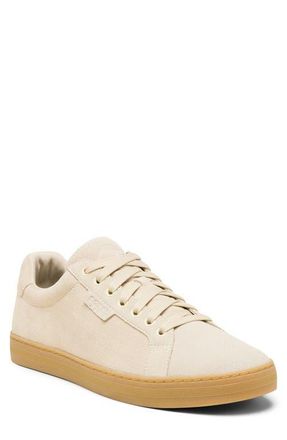 Sorel Cyprus LX Sneaker in Bleached Ceramic/Gum at Nordstrom, Size 11.5
