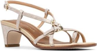 Donald J Pliner Daffney Strappy Sandal in Platino at Nordstrom, Size 5.5