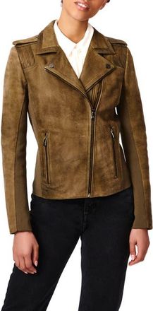 Bernardo Suede Moto Jacket in Olive at Nordstrom, Size X-Small