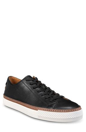 Allen Edmonds Paxton Sneaker in Black at Nordstrom, Size 11