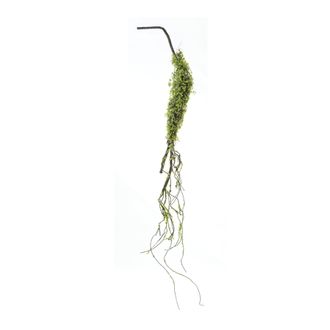Melrose International Moss Foliage Vine Branch (Set of 2) - Green, Brown