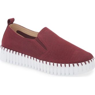 Ilse Jacobsen Tulipu Perforated Platform Sneaker in Winetasting at Nordstrom Rack, Size 10Us / 40Eu
