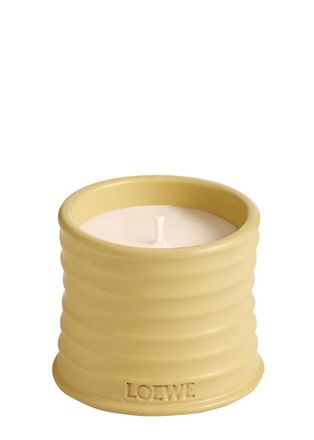 Loewe Honeysuckle Candle - Small 170g, Candle, Low-intensity Fragrance, Floral Scent, Sweet Aroma of This Flowering Vine, Small, 170g
