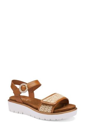 Ara Bloom Ankle Strap Sandal in Cognac/Natural at Nordstrom, Size 9.5-10Us
